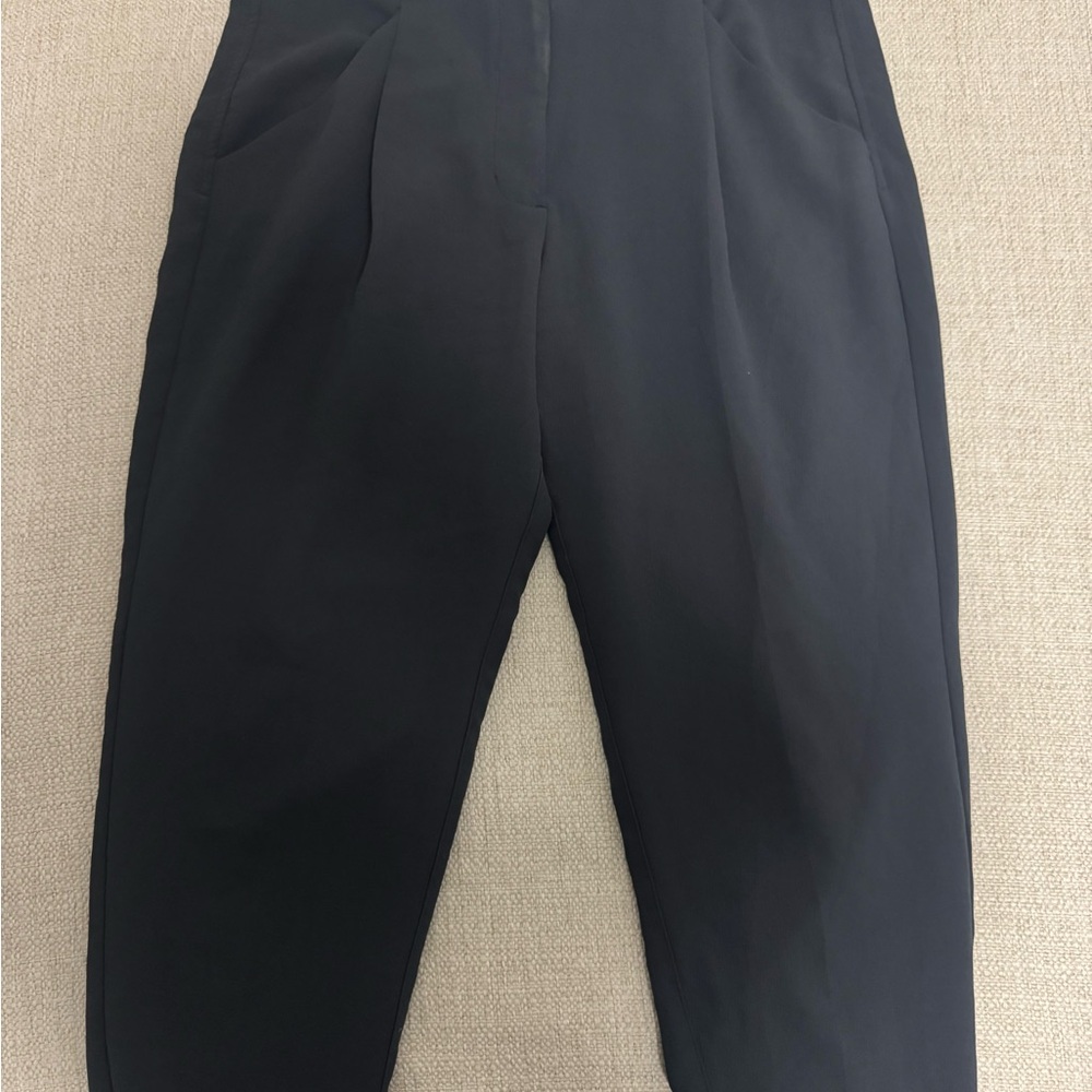 Aritzia Wilfred Pants
